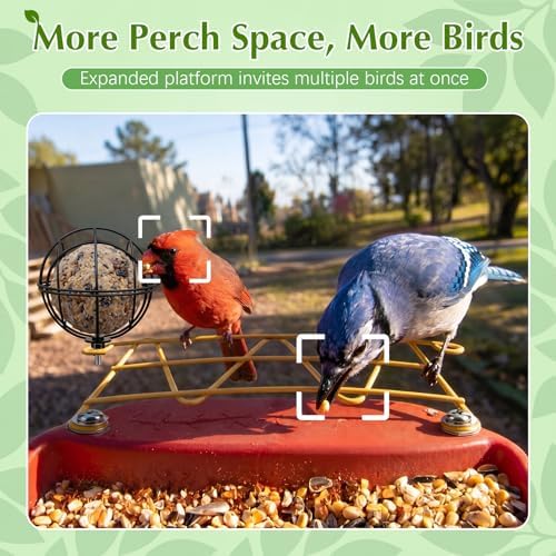 Metal Perch Extender & Suet Ball Holder Compatible with Bird Buddy Feeder