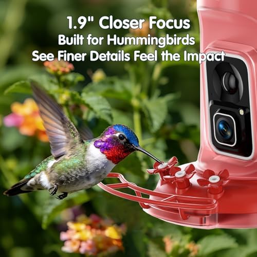 4K Hummingbird Feeder with Camera,No Subscription,Solar Powered