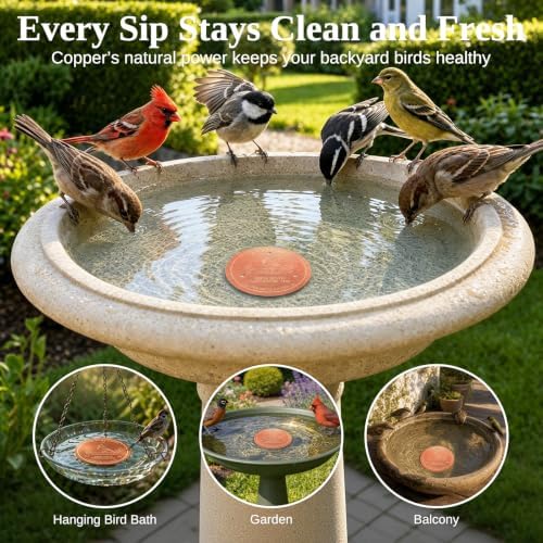 2-Pack Copper Disc for Bird Bath, 99.9% Pure Copper (Cardinal)