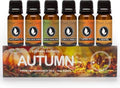 Eternal Essence Oils Autumn Set of 6 Premium Fragrance Oils - Includes Pumpkin Spice, Baked Apple Pie, Salted Caramel Pumpkin, Spiced Caramel Pear, Tobacco Vanilla and Caramel Scented Oils - 10ML