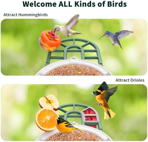 HARYMOR Smart Bird Feeder with Camera - AI Identify Birds Species, Solar Powered Bird House with Cam, 2L Large Capacity, 2K HD Video Live Stream, Instant Arrival Alerts - Green