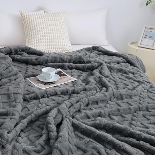 Aganear Fleece Throw Blanket for Couch Sofar 50"x60" Grey