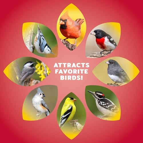 Audubon Park Cardinal Wild Bird Seed, 8 lb
