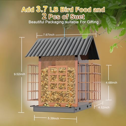 FlowaFoli Bird Feeders for Outdoors Hanging, Metal Bird Feeder with Double Suet Cage Cake, Large Capacity, Birdfeeders Sturdy & Weatherproof, Easy to Clean & Refill, Great for Attracting Wild Birds