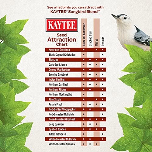 Kaytee Wild Bird Seed, 7 Pound | Songbird Blend | Pack of 2