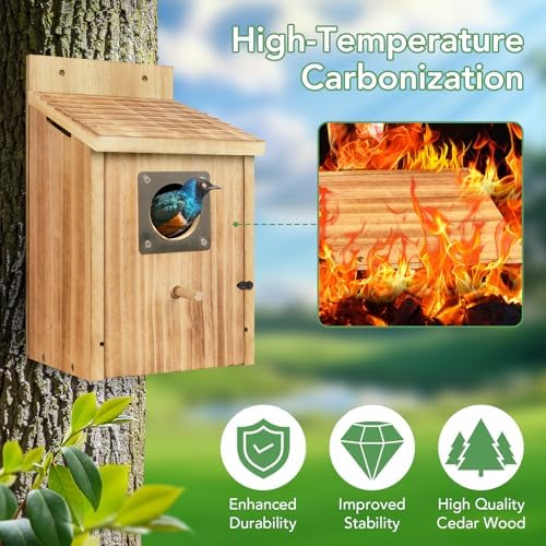 2 Pack Bird Houses for Outside, 1-1/2" Entrance Cedar Birdhouse
