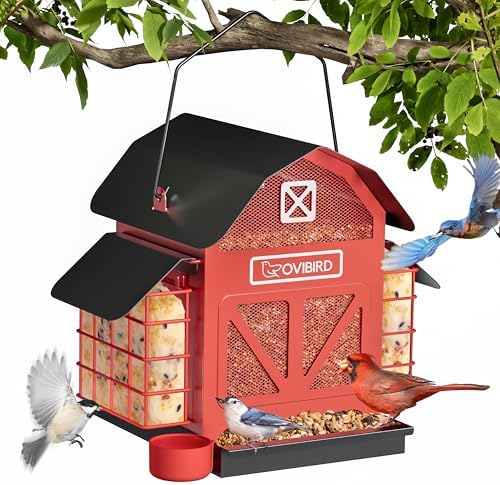 Bird Feeders for Outdoors Hanging, 5LBS Large Bird Feeder with 2 Suet Cage, Red Barn Metal Birds Feeder for Outside, Weather Resistant Cardinal Feeders, ldeal Birds Watching Gifts (Red)