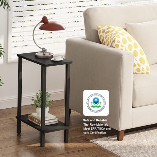 TUTOTAK Narrow Side Table, 2-Tier Small End Table for Couch