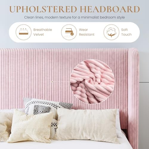 SHA CERLIN Queen Corduroy Platform Bed with Tufted Wingback Headboard, Pink