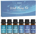 ARVIDSSON Essential Oil Blends Set, Well-Being Blend Gift Set - Sweet Dreams, Happy, Serenity, Breathe, Energy, Air Freshening, Natural Essential Oils for Diffusers, Candle Making