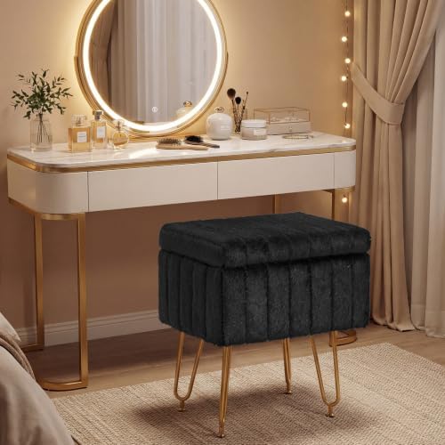 DUMOS Vanity Stool Chair, Ottoman with Storage for Living Room, Bedroom