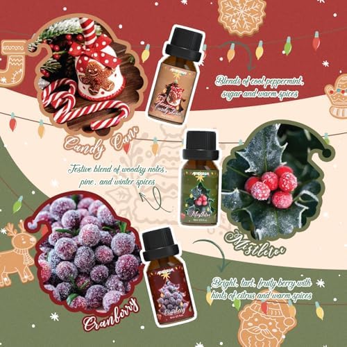 ARVIDSSON Christmas Fragrance Oil Set, Winter Essential Oils for Diffuser, Candle Making - Christmas Spirit, Gingerbread, Apple Cinnamon, Candy Cane, Mistletoe, Holiday Diffuser Oils Gift Set