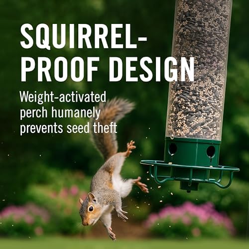 Droll Yankees Squirrel Proof Bird Feeder for Outdoors, 5 lb Seed Capacity