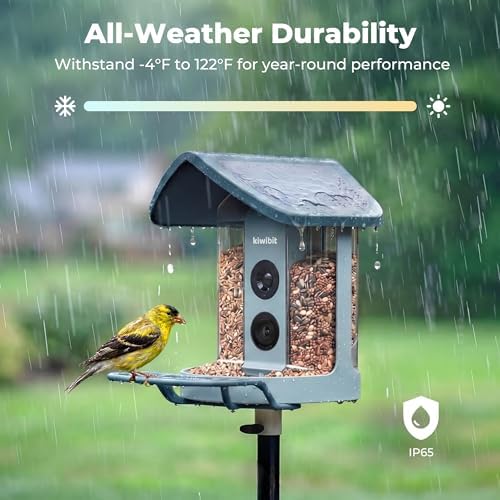 Kiwibit Solar Smart Bird Feeder with Camera, 4K HDR Live Video, AI Bird ID