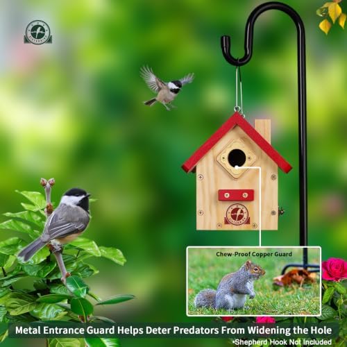 SISTERBIRD Wren Bird Houses for Outside, Red Hanging Wren House, Gifts