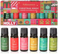 Folkulture Christmas Essential Oils for Home | Set of 6 Christmas Fragrance Oils for Diffusers for Gifting- Vanilla, Eucalyptus, Ginger, Pine, Cinnamon, Chestnut - 6x10 ML