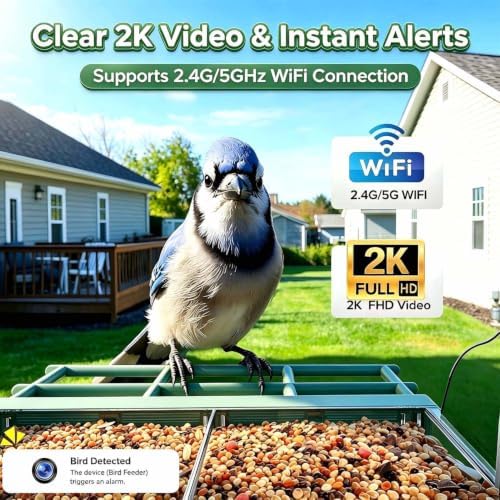 2026 Upgraded Window Bird Feeder with Camera for Bird Watching