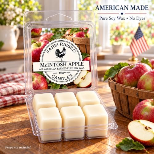 1 Pound - Fall Spice Wax Melts - American Made Soy - Hand Poured - Variety Pack, 5 Count