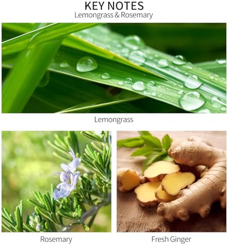 Reed Diffuser, Lemongrass Rosemary Fresh Ginger Scented Oil Refill