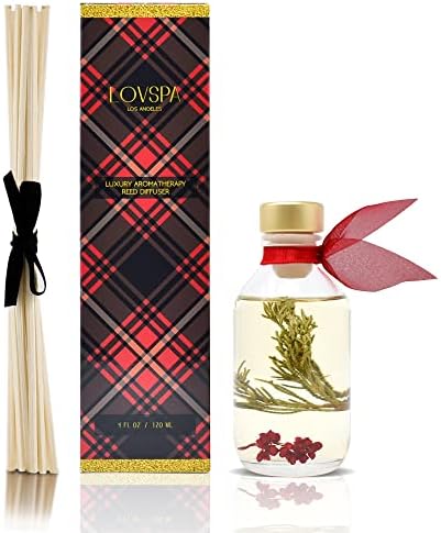 Reed Diffuser Set - Joy Winterberry Spruce Scented Diffuser with Sticks