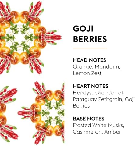 MAISON BERGER Lampe Berger Refill, 500 ml, Goji Berries