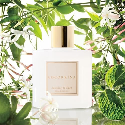 COCORRÍNA Reed Diffuser - Jasmine & Mint 6.7 Fl.oz Reed Diffuser Set with Sticks & Preserved Baby's Breath, Reed Diffuser for Home Bathroom Shelf Decor