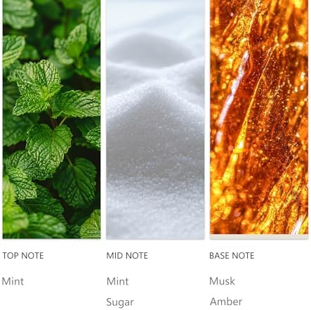 Hotel Waterless Diffuser Oil Candy Mints 20ML Sampler
