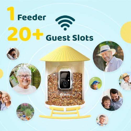 NETVUE by Birdfy Smart Solar Birdfy Bird Feeder with Camera for Outdoor