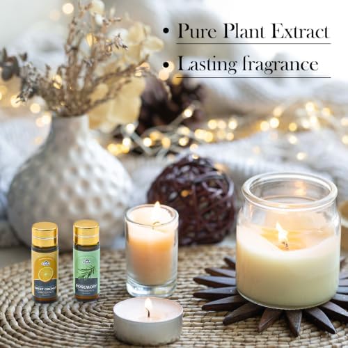 Essential Oil Set, 32 Pcs Fragrance Oils for Diffusers, Home Care, Humidifier Laundry, Candle Making - Tea Tree, Sandalwood, Lavender, Vanilla, Eucalyptus and More(5mL)
