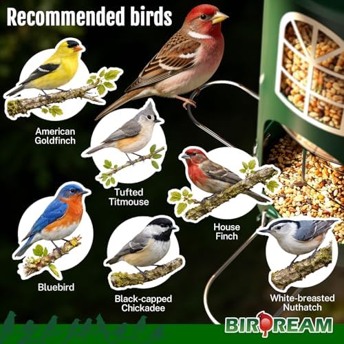 Birdream Metal Bird Feeder for Outdoors Hanging, Large Capacity, Green