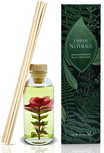 Urban Naturals Reed Diffuser Set, Black Raspberry Vanilla - Shelf Décor