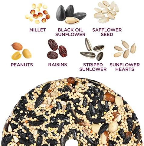 Audubon Park Nut & Fruit Snack Stack Wild Bird Food, Bird Seed Cake for Outside Feeders, 6-Pack