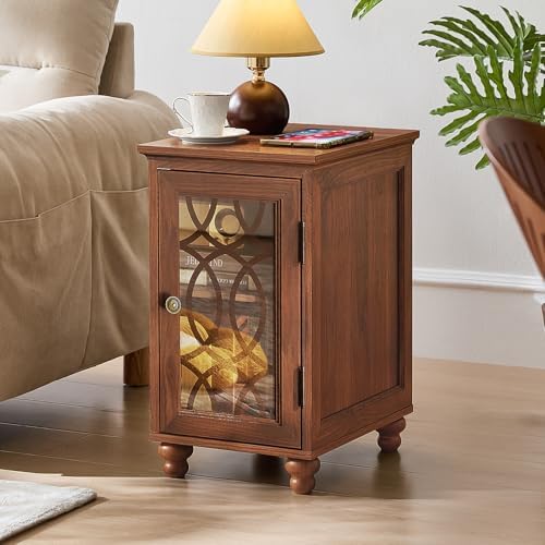 Joaxswe Narrow Side Table with Glass Door Storage