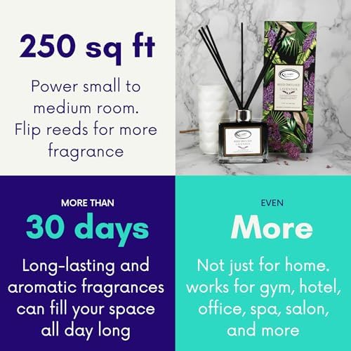 Air Jungles Lavender Reed Diffuser Set with Sticks 3.4 Fl Oz (Pack of 3)