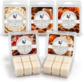 1 Pound- Pumpkin Patch Pack - American Made Soy - Hand Poured - Fall Wax Melts - Variety Pack, 5 Count