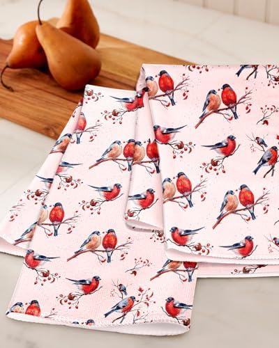 Miss Adola Cute Kitchen Towels Set of 2, 18 x 26 Inch, Winter Birds