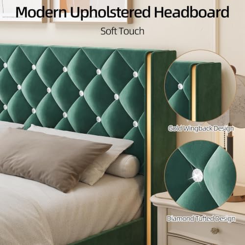 HOMBCK King Bed Frame with Velvet Headboard, Goldside Wingback, Green