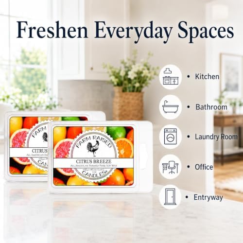 Citrus Breeze Soy Wax Melts, 2 Pack