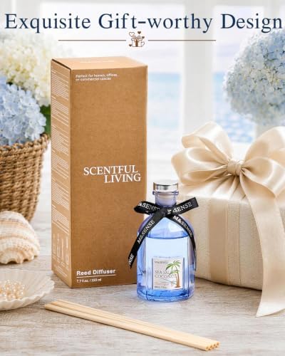 M&SENSE Reed Diffuser Set, Sea Salt Coconut, 7.7 oz Natural Essential Oil
