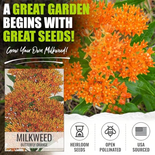 Seed Needs Milkweed Seeds Variety Pack of 15 Perennial Flowers for Monarchs