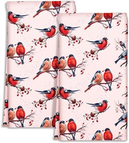 Miss Adola Cute Kitchen Towels Set of 2, 18 x 26 Inch, Winter Birds