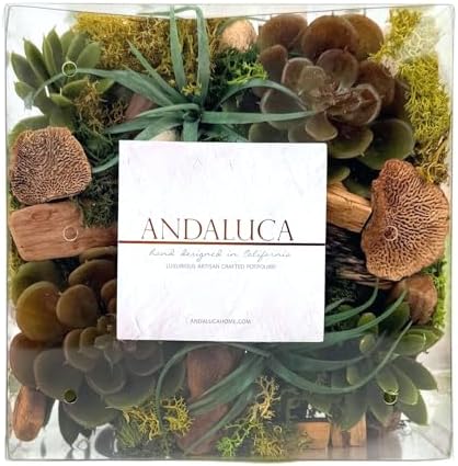 ANDALUCA Maison Box Fragrance Potpourri Decorative Succulent Moss Vase & Bowl Filler Home Décor (Moss Forest)
