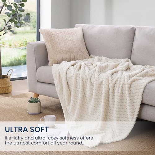Monbix Twin Blanket for Couch-Room Decor Fuzzy Fleece Flannel Bed Blankets