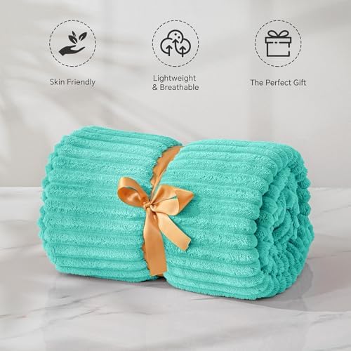 BEDELITE 3D Ribbed Jacquard Aqua Fleece Twin Blanket for Couch, 60x80 Inch