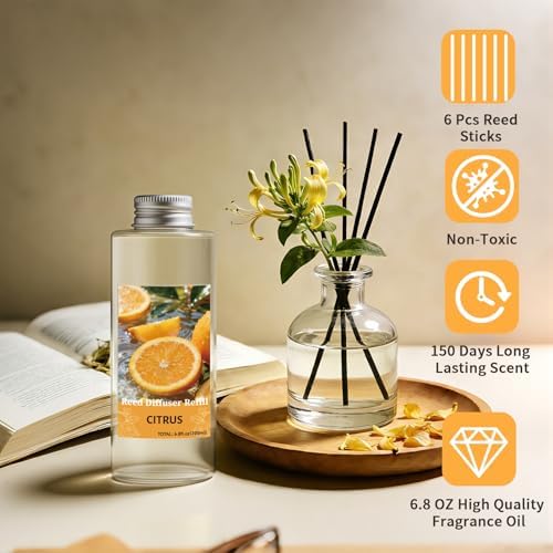 STRN Reed Diffuser Oil Refill, Citrus Scented Diffuser with Stick 6.8 Fl Oz