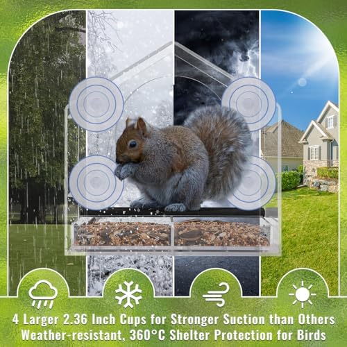 Clear Window Bird Feeder with Strong Suction Cups, Removable Tray