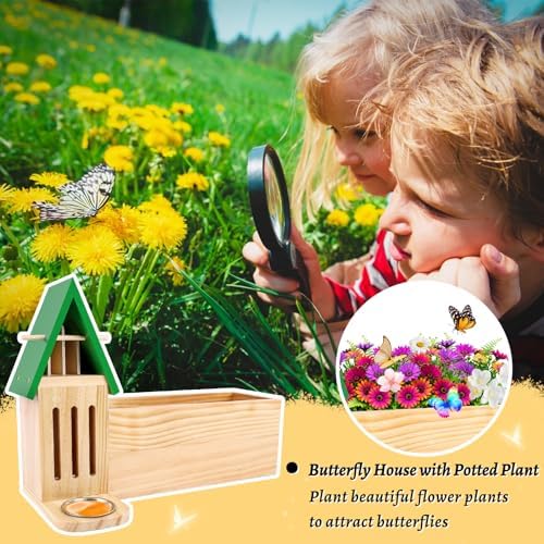 Butterfly House & Feeder with Flower Pot, 3-in-1 Wooden Butterfly House