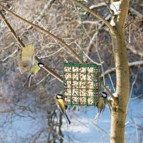 Bird Feeder for Outdoors, Suet Feeder for Outside Hanging Suet Basket Cage