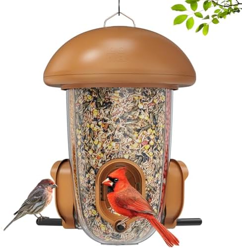 LONA Bird Feeder with 3 Compartments, Dome Bird Feeder for Outdoors, Brown