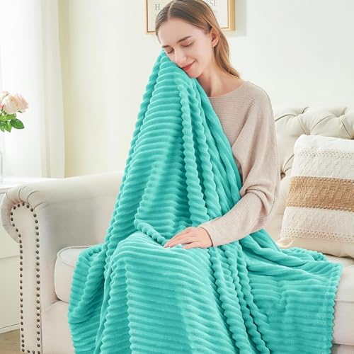 BEDELITE 3D Ribbed Jacquard Aqua Fleece Twin Blanket for Couch, 60x80 Inch
